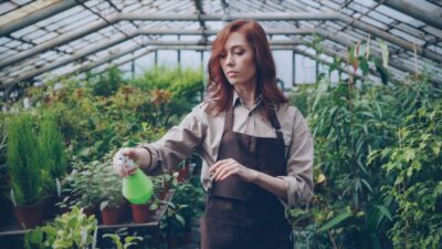 Corte de Relva e Manutenção de Jardins