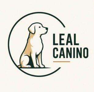 Treino Canino e Modificação Comportamental ao Domicílio