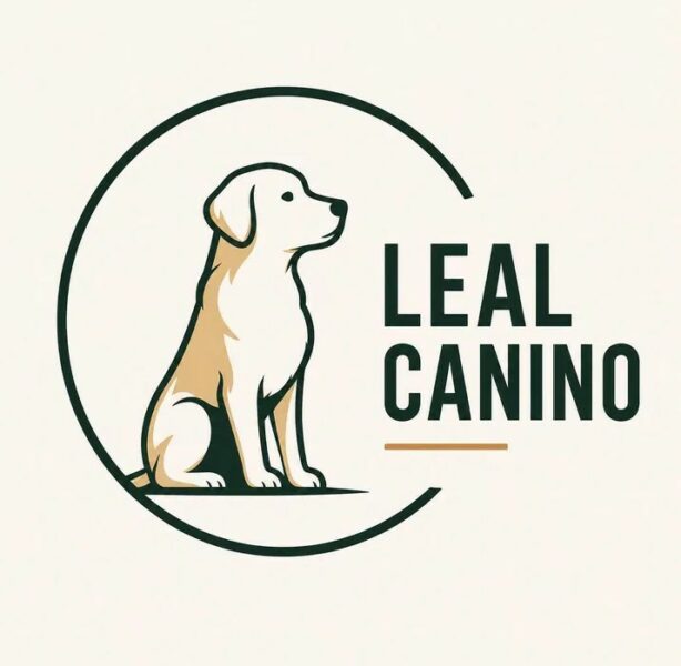 Treino Canino e Modificação Comportamental ao Domicílio