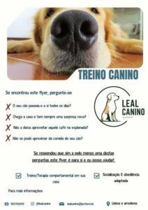 Treino Canino e Modificação Comportamental ao Domicílio