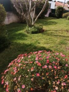Serviços de Jardinagem e Manutenção de Jardins