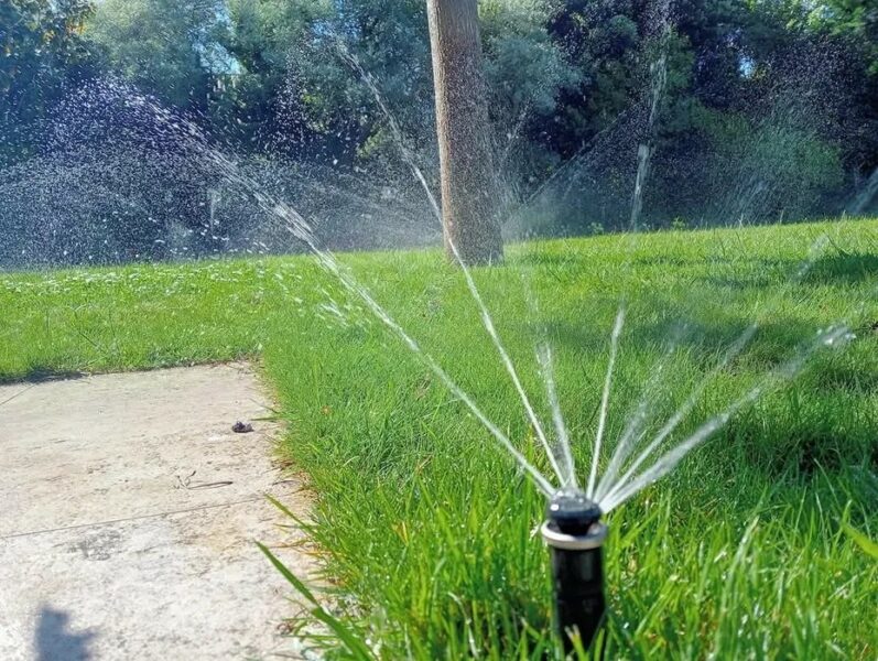 Serviços de Jardinagem e Manutenção de Jardins
