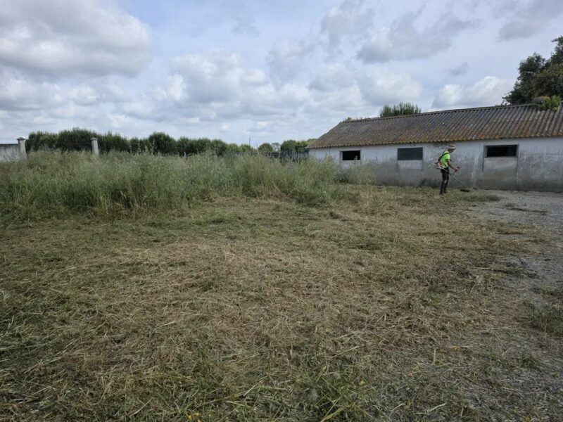 Limpeza de Terrenos com Roçadora e Máquinas