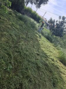 Limpeza de Terrenos com Roçadora e Máquinas