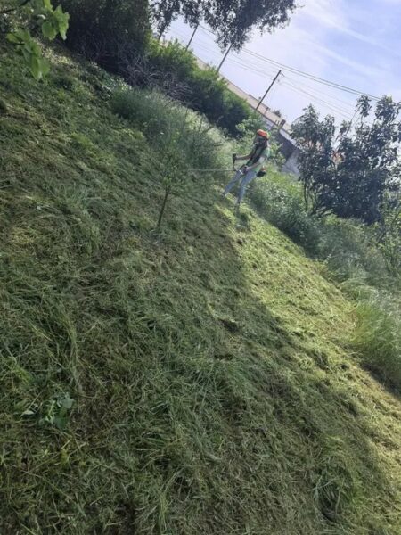Limpeza de Terrenos com Roçadora e Máquinas