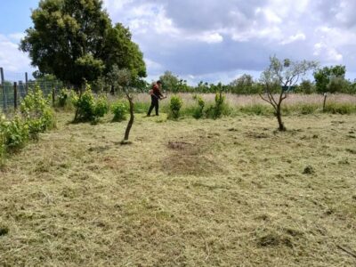 Limpeza de Terrenos com Roçadora e Máquinas